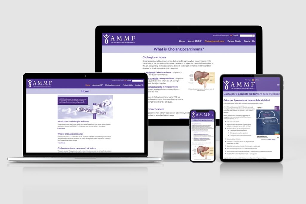 AMMF-EU.org website shown on multiple screen sizes, showcasing its responsive website features