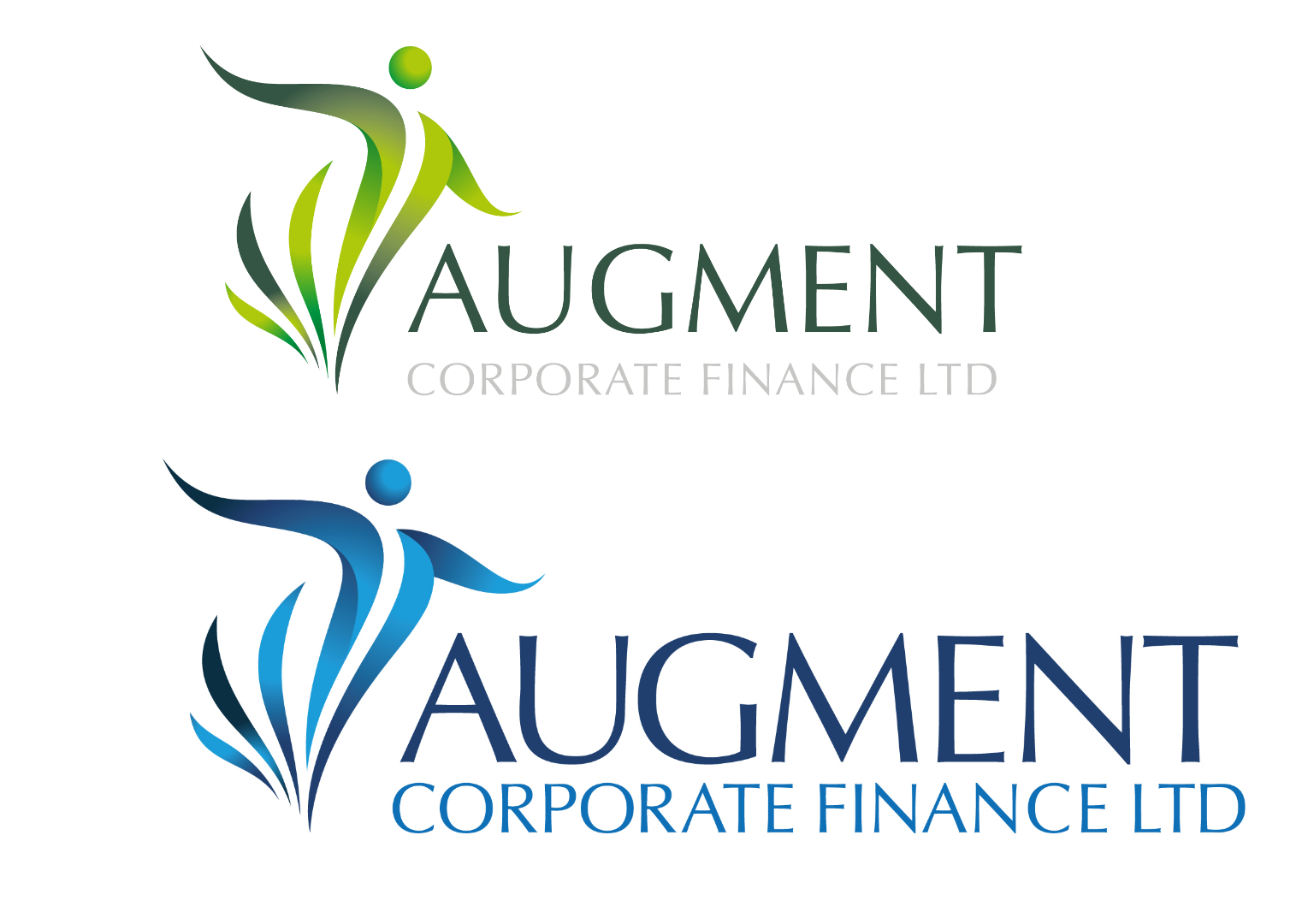 Augment Corporate Finance Selected logo